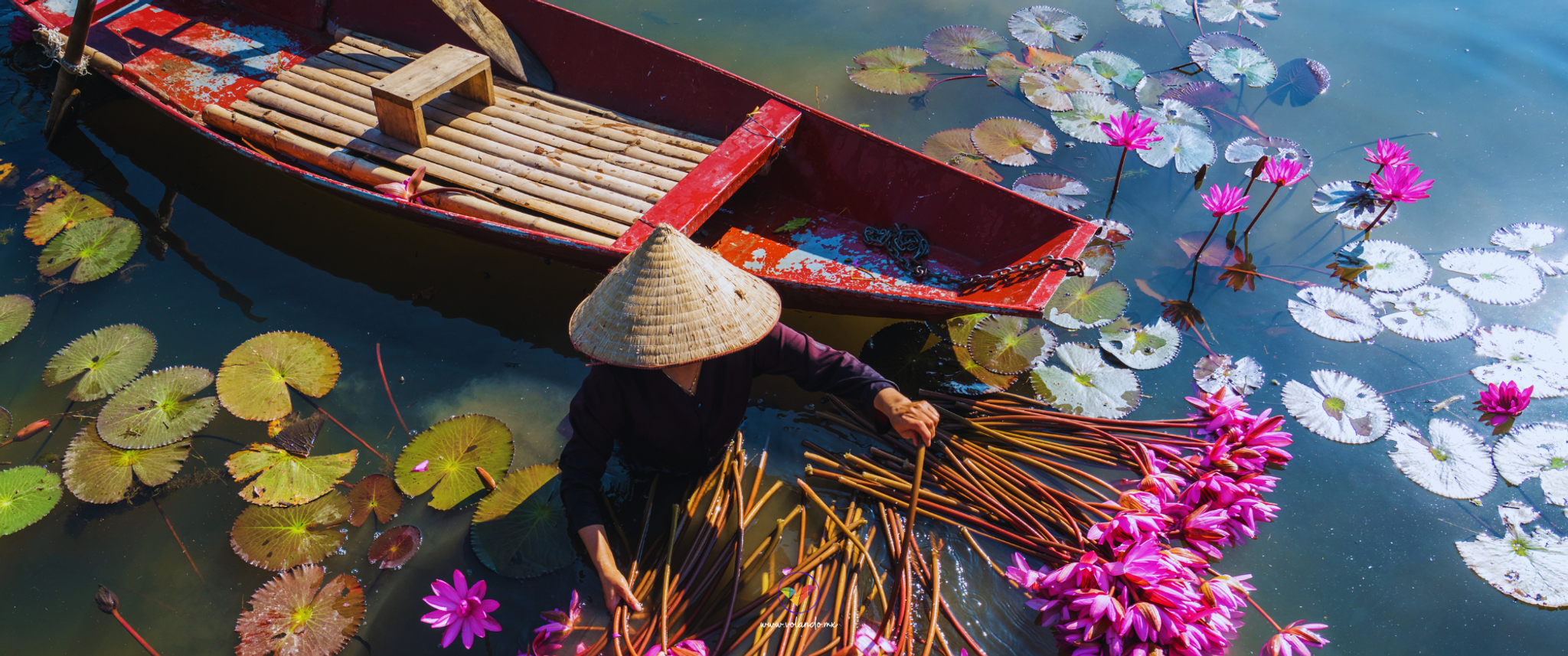 Vietnam de Volada 2x1